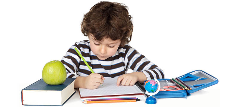 adorable child studying